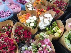 -溪岸路花鸟市场