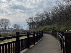 -羊山湖公园