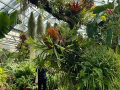 -国家植物园南园