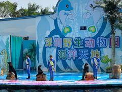 -深圳野生动物园