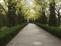 -大槐树寻根祭祖园