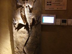 -霖公馆SPA·足道(普善路店)
