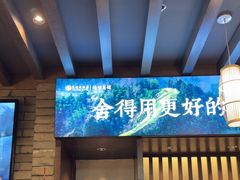 -鸢飞潍坊菜馆(鸢飞大酒店)