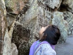 -茅兰沟国家森林公园