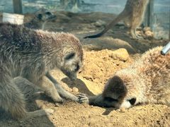 -水上乐园·欢乐世界