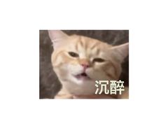-双月饭店·20年老字号(新村店)