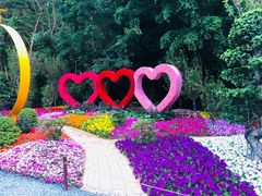 -深圳仙湖植物园