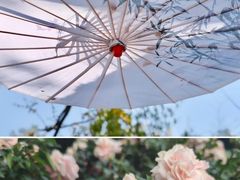 -人民公园(罗湖区)