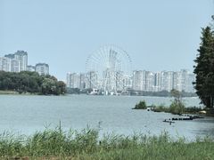 -长广溪湿地公园