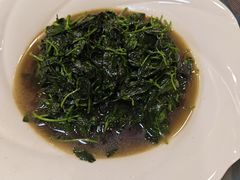 -东康桂家农庄