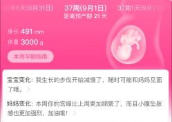 -北京怡德医院妇产中心