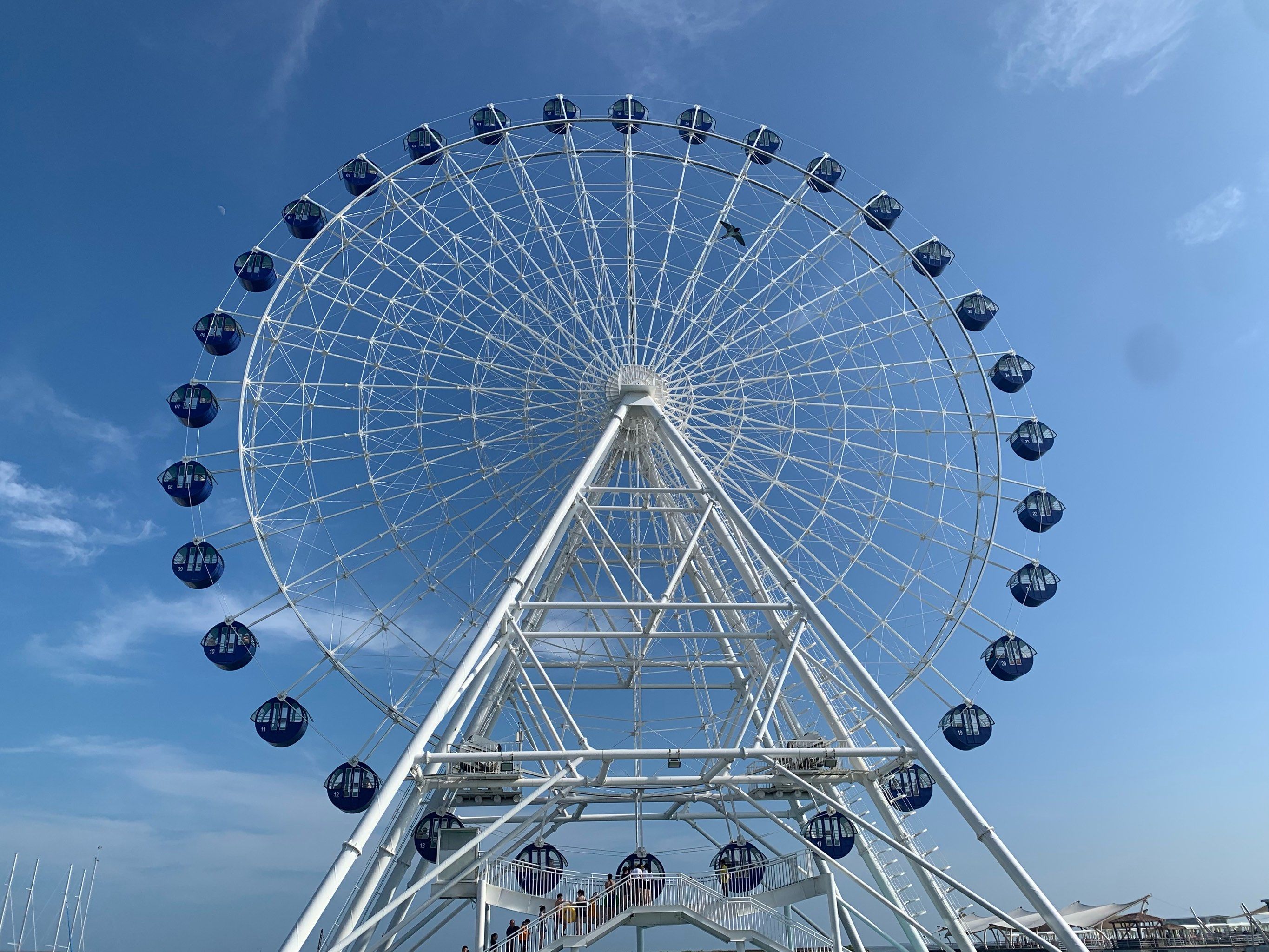 我的城市摩天轮记