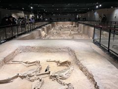 -洛阳周王城天子驾六博物馆