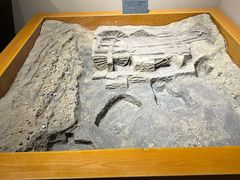 -洛阳周王城天子驾六博物馆