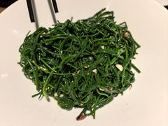 -老阿妈蒙古村(老君堂店)