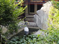 -戏马台景区