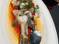 龙纹斑花椒汁蒸-玖味(老工人西路店)