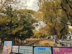 -北陵公园