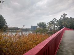 -美兰湖景区