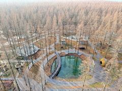 -黄海国家森林公园