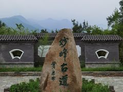 -阳台山自然风景区