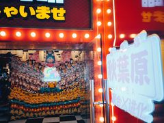 -天天玩X秋葉原日系动漫游戏中心
