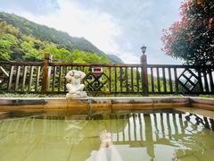 -黄山温泉国际旅游度假区