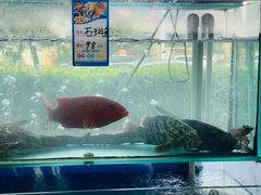 -金沙滩海鲜餐厅·海肠捞饭·手工水饺(梅江龙水园店)