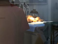 -芭比堂动物医院·犬猫全科·异宠专科(雁塔分院)