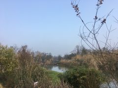 -桤木河湿地公园