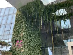 -北京中信金陵酒店