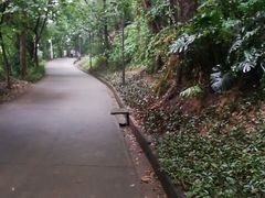 -南岗山公园
