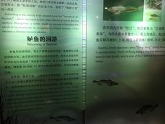 -苏州河梦清园环保主题公园