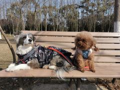 -上海长兴岛郊野公园