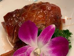 -新聚丰菜馆(太监弄店)