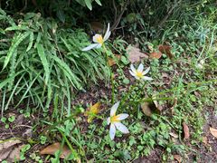 -苏州环秀晓筑养生度假村