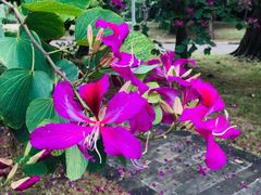 -白沙门生态公园