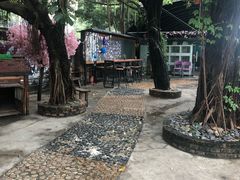 -柴犬高等学院·狗咖·柴犬售卖·宠物训练