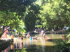 -成都市活水公园