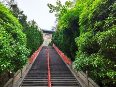 -姑婆山旅游区