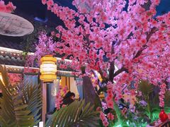 -今朝桃花醉川菜小酒馆(龙湖天街店)