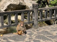 -三峡人家风景区