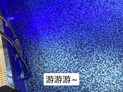 -斯博特游泳俱乐部(万象城店)