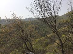 -阳台山自然风景区