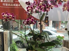 -弗劳尔花艺坊(龙涛店)