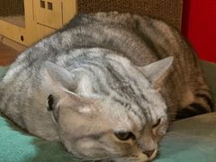 -H立方实景剧情密室(天河旗舰店)