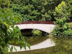 -东平国家森林公园