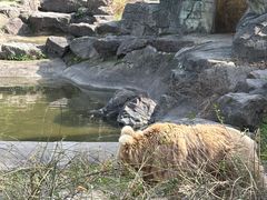 -宁波野生动物园