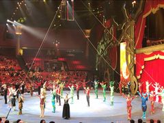 -珠海横琴长隆《卡卡虎奇遇记》