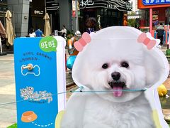 -万科生活广场(东莞松山湖店)